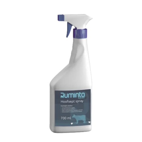 Antybakteryjny spray pielęgnacyjny do racic krów HOOFSEPT SPRAY Ruminta Ecofeed butelka 700 ml