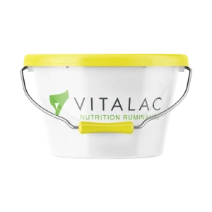 VITABLOC - lizawka dla krów i kóz w okresie zasuszenia: witaminy i minerały, op. 20kg - Vitalac