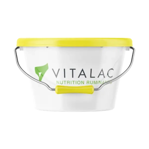 Lizawka z witaminami i minerałami dla krów i kóz w okresie zasuszenia VITABLOC Vitalac wiadro 20 kg