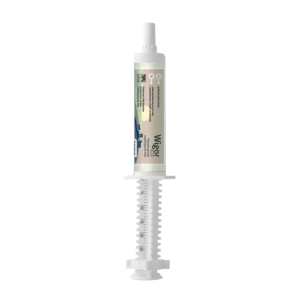 WIGOR PLUS - energia, witaminy i aminokwasy dla cieląt, op. 30ml - Witaminy, preparaty wzmacniające dla cieląt
